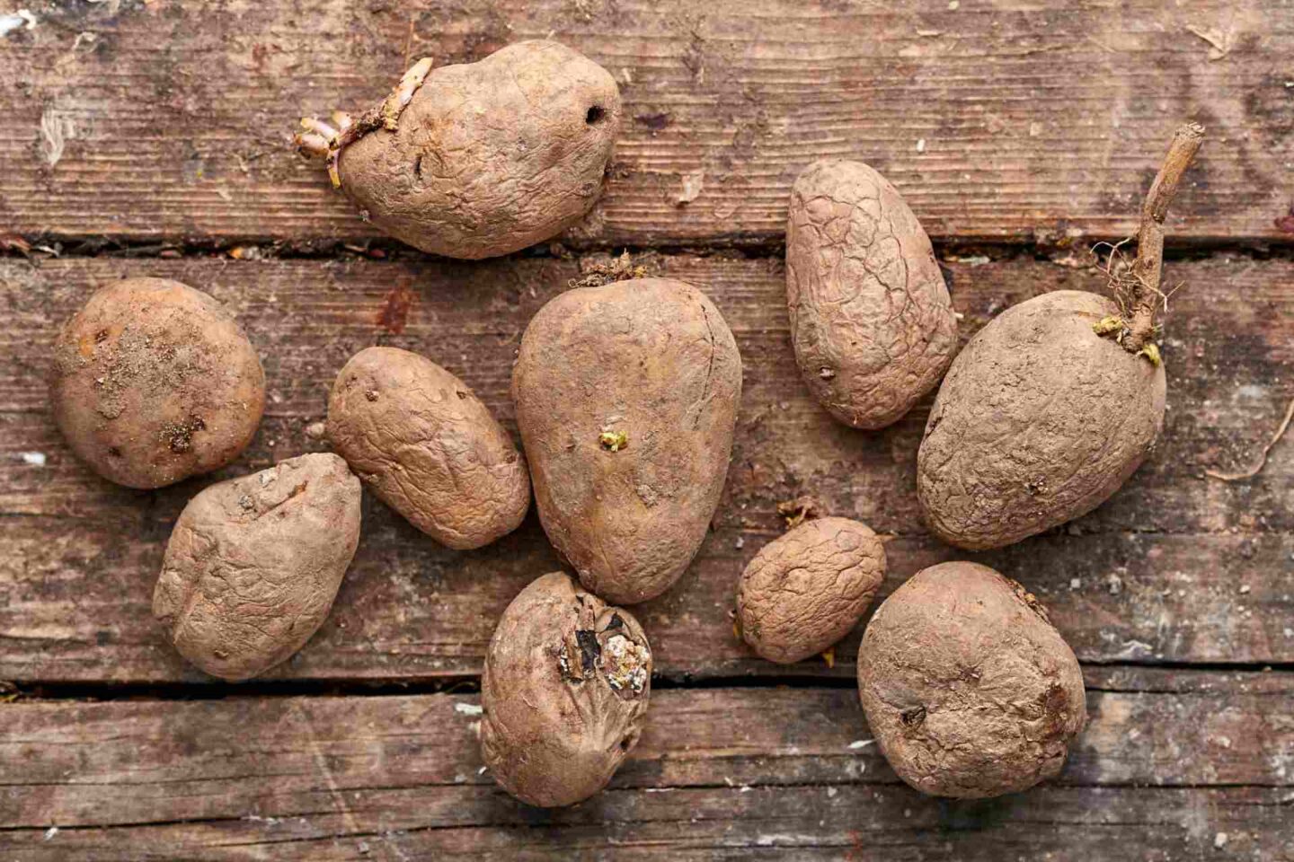 How To Tell If Potatoes Are Bad A Complete Guide   How To Tell If Potatoes Are Bad 1440x960 