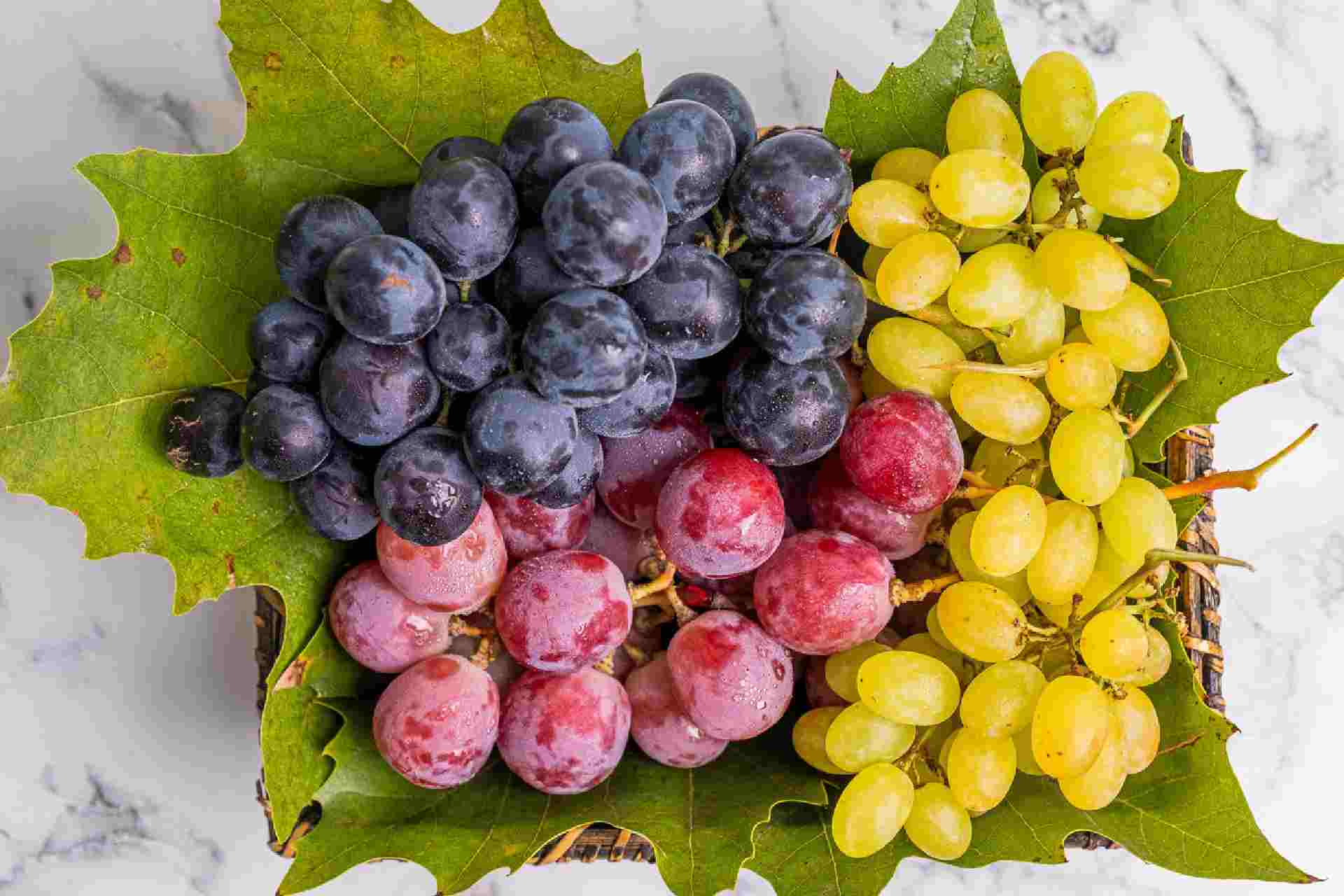 How To Store Grapes? [A Complete Guide]